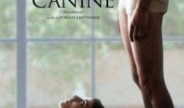 犬齿之家手机在线观看,手机在线观看，揭秘神秘家族的奇幻冒险之旅