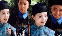 李卫当官在线观看,笑谈官场风云，揭秘古代智勇传奇