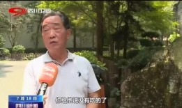 四川新闻记者爆料电话,揭秘事件背后真相