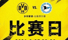 爆料者联盟解析视频,视频内容深度解析