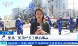 日本资深记者爆料视频大全,独家视频大全背后的真相与内幕