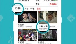 8频道直播在线观看,8频道直播在线观看，尽享资讯盛宴