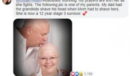 夫妇网红吃瓜图片视频,揭秘娱乐圈幕后真相