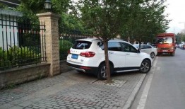 重庆停车爆料视频最新版