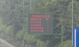 重庆停车爆料视频最新版