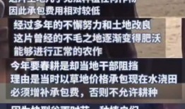 热门冤案爆料视频完整版,热门爆料视频完整版深度解析