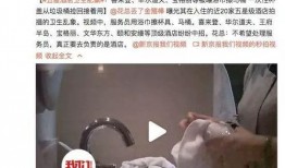 熊家珠宝爆料视频,璀璨珠宝背后的故事与魅力