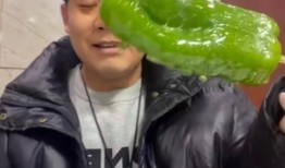 网红吃瓜附视频,揭秘娱乐圈幕后真相