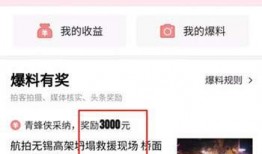 如何参与爆料视频,如何轻松参与视频生成，共同见证真相时刻
