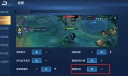 王者最新情报爆料,神秘英雄登场，战局风云再起！