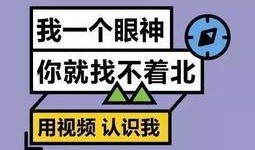 娱乐大爆料文案短句,短句背后的明星故事