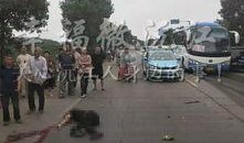 沅江新闻爆料事件有哪些,揭露真相与舆论风暴的交织