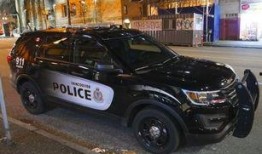 最新爆料车型有哪些车,十大热门新车型盘点