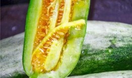 肖雅婷网红吃瓜