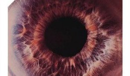 ingobernable在线观看,在线观看指南