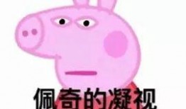 吃瓜揭阳网红小胖猪,吃瓜揭阳，揭秘网络红人的魅力与争议