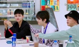 潮音战绩在线观看,在线观看，揭秘音乐偶像的辉煌历程