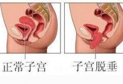 在线观看子宫,探索生命孕育的神奇之旅