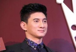 吴奇隆爆料娱乐圈,一场星光璀璨下的暗流涌动
