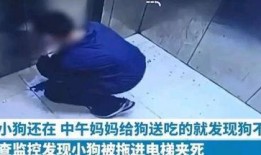 小男孩内鬼爆料视频大全,小男孩爆料视频大全深度解析