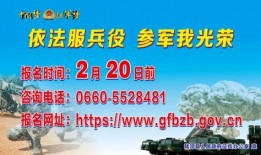 陆河新闻爆料最新情况,重大事件进展及影响揭秘