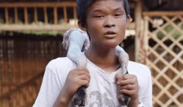 小马云直播爆料最新消息,最新动态及幕后故事大曝光！”