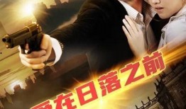 爱在日落前在线观看,一场跨越时空的浪漫邂逅