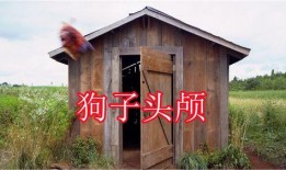 免费吃瓜群小木屋,揭秘网络社交新趋势