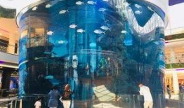 加拿大摩洛哥爆料视频,揭秘两国背后惊人真相