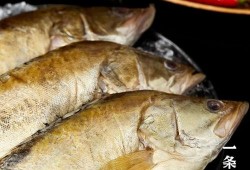 臭鱼烂虾爆料视频大全下载,揭秘娱乐圈幕后真相