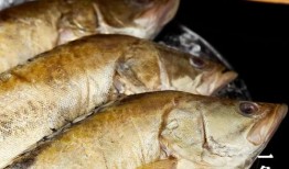 臭鱼烂虾爆料视频大全下载,揭秘娱乐圈幕后真相