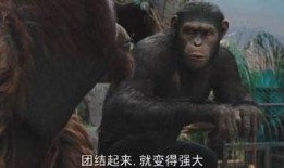 猩球崛起在线观看免费,重燃自由之战——在线免费观看，探索猿类革命传奇