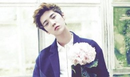 鹿晗豪宅爆料事件视频播放,揭秘明星奢华住所幕后