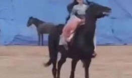 陈哲远粉丝爆料视频大全,揭秘偶像幕后故事