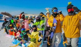 地极在线观看,揭秘神秘极地探险之旅