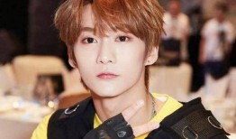 黄智博姐姐爆料视频,揭秘事件背后惊人真相