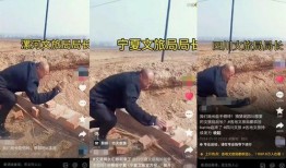 砖哥爆料大炮是谁啊视频,砖哥爆料大炮身份之谜