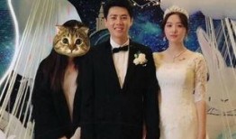 大叔结婚爆料视频,甜蜜瞬间引网友热议