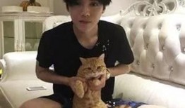 鹿晗豪宅爆料事件视频播放,揭秘明星奢华住所幕后