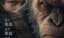 猩球崛起在线观看免费,重燃自由之战——在线免费观看，探索猿类革命传奇