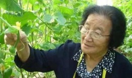 娱乐圈吃瓜呆头鹅是谁,揭秘其真实身份与幕后故事