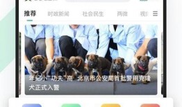 岑溪新闻媒体爆料视频,视频揭露惊人真相