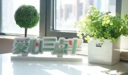 合肥热点爆料最新消息,揭秘城市热点事件背后的真相