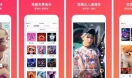 今日头条爆料兰花视频,揭秘兰花种植与养护技巧