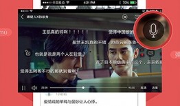 8频道直播在线观看,8频道直播在线观看，尽享资讯盛宴