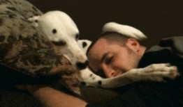 吃瓜娱乐图片搞笑图,搞笑图鉴，带你领略吃瓜乐趣