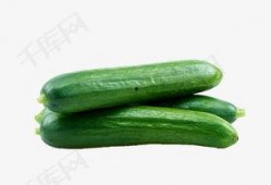 免费吃瓜视频网红网,揭秘网络红人幕后生活