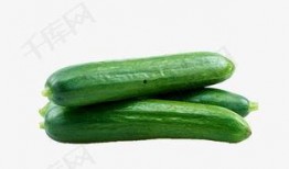 免费吃瓜视频网红网,揭秘网络红人幕后生活