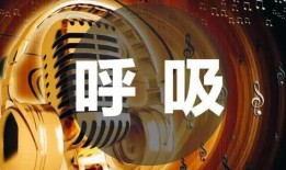 哈利八月转盘爆料视频,揭秘神秘内容，带你领略惊喜瞬间