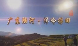 陆河新闻爆料最新情况,重大事件进展及影响揭秘